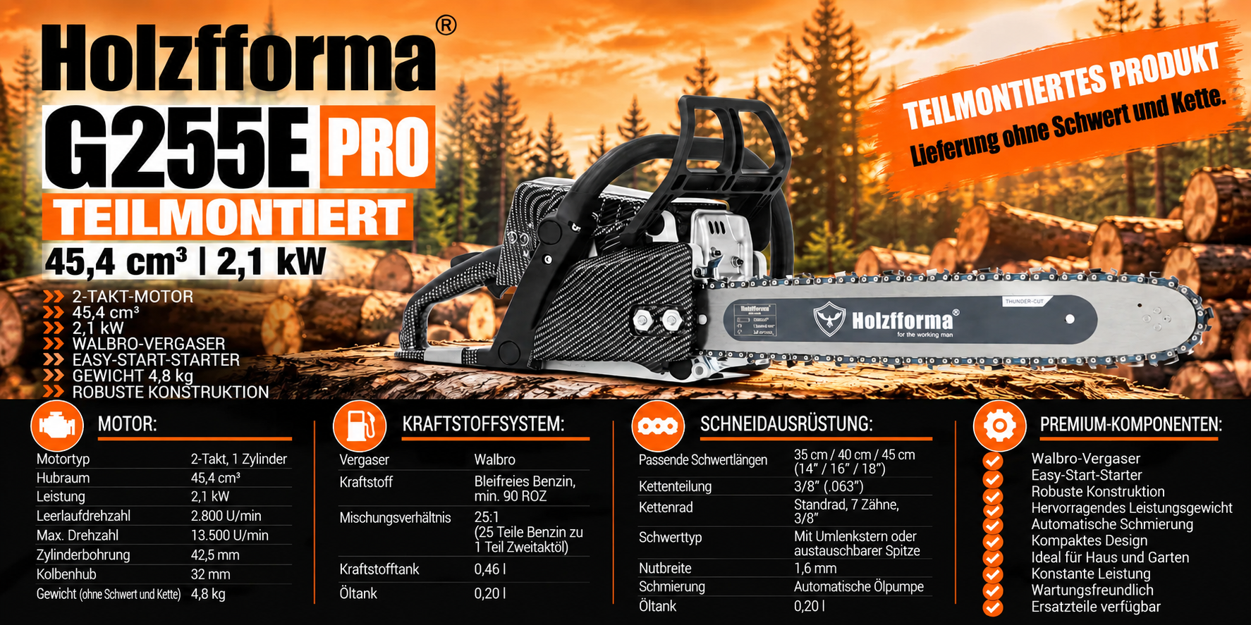 Holzfforma G255E PRO specificatii tehnice